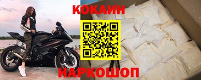 стаф Гатчина