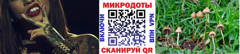 Галлюциногенные грибы мицелий  Грозный 