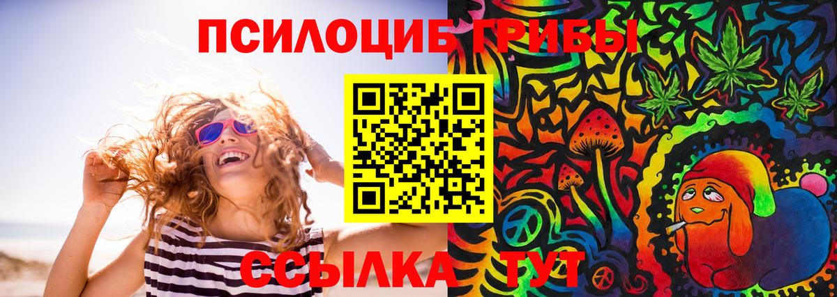 Галлюциногенные грибы Psilocybine cubensis Грозный