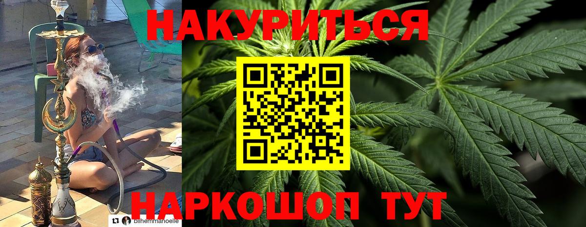 Конопля семена  Грозный  МАРИХУАНА сатива  Бошки Шишки Amnesia 